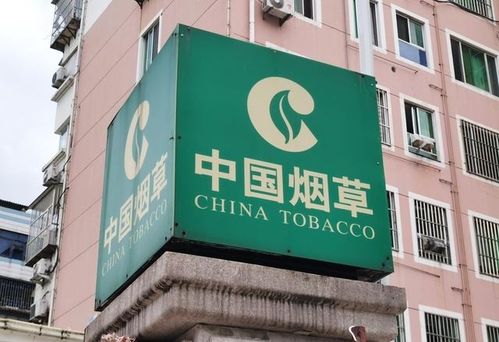 新疆煙草局校招開啟 擴招名額，高中起點，專業不限，軟件開發崗位吸引貴州學子